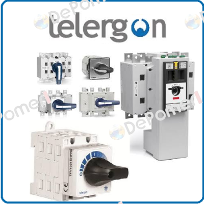 T-0040003129   Telergon