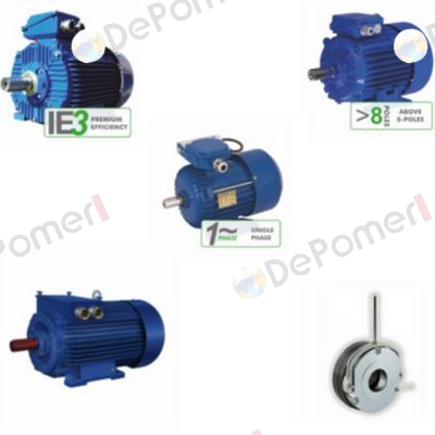 DS-Motor 2SIEK 80 X-2C Cantoni