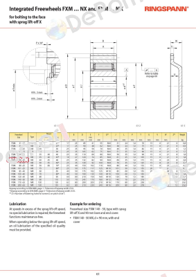 P/N: 4867-066300-040H33, Type: FXM 66-25 NX Ringspann