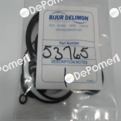 53765 Bijur Delimon