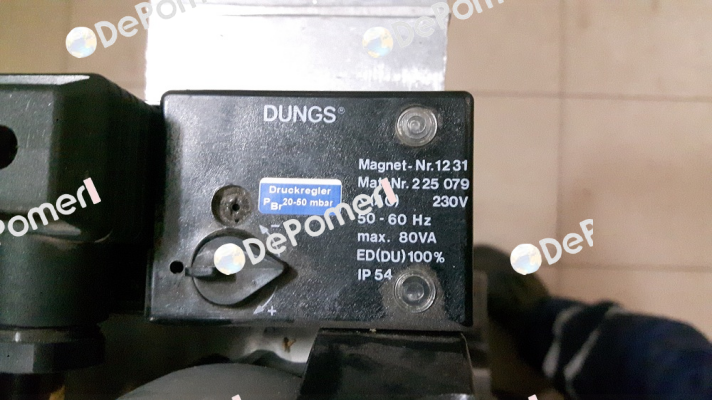 228295 (1231 AC 230 V IP 54) Dungs