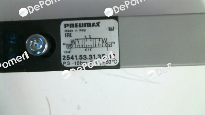 2541.53.31.35.02 Pneumax