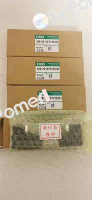 4KB139-00-B-DC24V Ckd